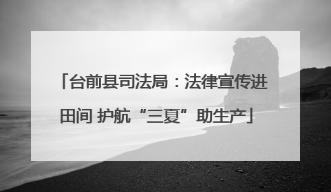 台前县司法局：法律宣传进田间 护航“三夏”助生产