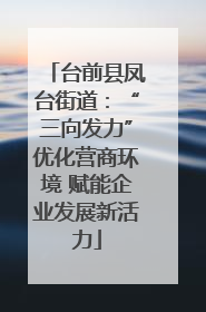 台前县凤台街道：“三向发力”优化营商环境 赋能企业发展新活力
