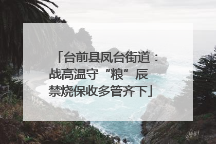 台前县凤台街道：战高温守“粮”辰 禁烧保收多管齐下