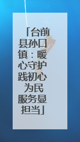 台前县孙口镇：暖心守护践初心 为民服务显担当