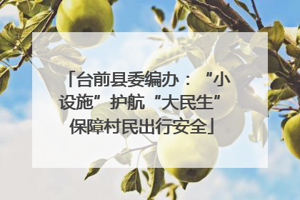 台前县委编办：“小设施”护航“大民生” 保障村民出行安全
