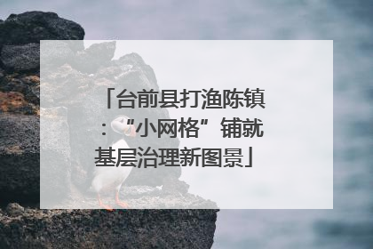 台前县打渔陈镇：“小网格”铺就基层治理新图景