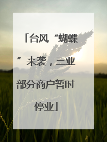 台风“蝴蝶”来袭，三亚部分商户暂时停业