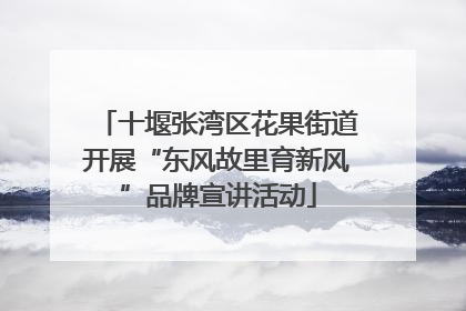 十堰张湾区花果街道开展“东风故里育新风”品牌宣讲活动
