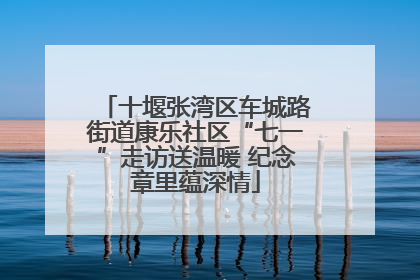 十堰张湾区车城路街道康乐社区“七一”走访送温暖 纪念章里蕴深情