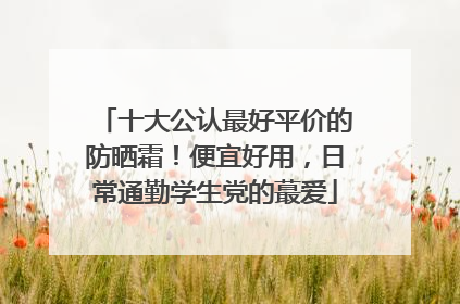 十大公认最好平价的防晒霜！便宜好用，日常通勤学生党的蕞爱