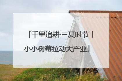 千里追耕·三夏时节丨小小树莓拉动大产业