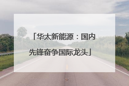 华太新能源：国内先锋奋争国际龙头