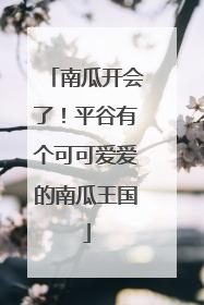 南瓜开会了！平谷有个可可爱爱的南瓜王国