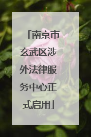 南京市玄武区涉外法律服务中心正式启用