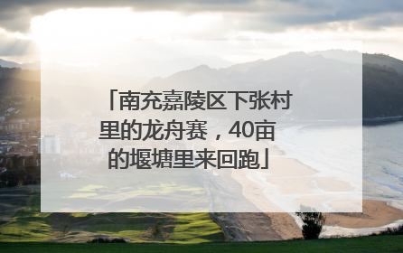 南充嘉陵区下张村里的龙舟赛，40亩的堰塘里来回跑