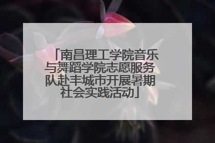 南昌理工学院音乐与舞蹈学院志愿服务队赴丰城市开展暑期社会实践活动