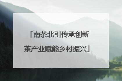 南茶北引传承创新 茶产业赋能乡村振兴