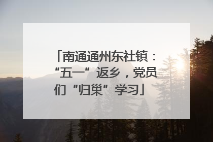 南通通州东社镇：“五一”返乡，党员们“归巢”学习