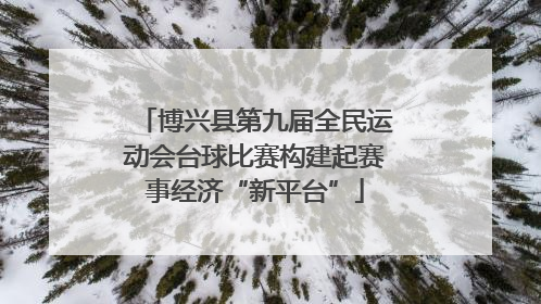 博兴县第九届全民运动会台球比赛构建起赛事经济“新平台”