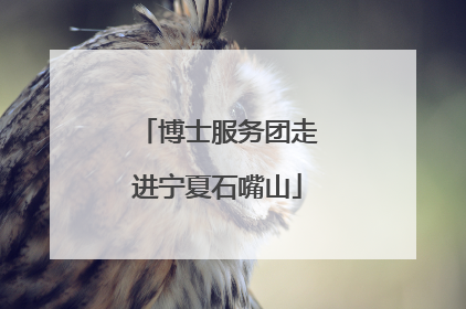 博士服务团走进宁夏石嘴山