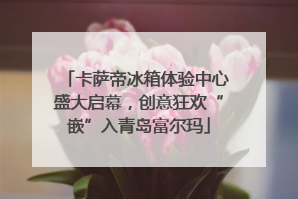 卡萨帝冰箱体验中心盛大启幕，创意狂欢“嵌”入青岛富尔玛
