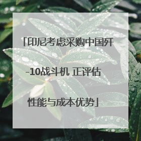 印尼考虑采购中国歼-10战斗机 正评估性能与成本优势