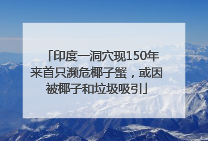 印度一洞穴现150年来首只濒危椰子蟹，或因被椰子和垃圾吸引