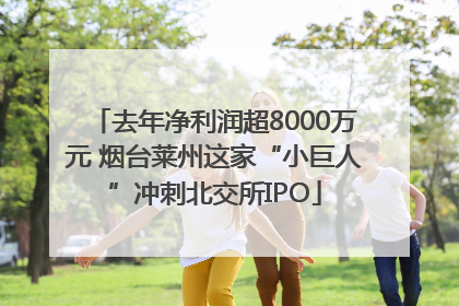 去年净利润超8000万元 烟台莱州这家“小巨人”冲刺北交所IPO