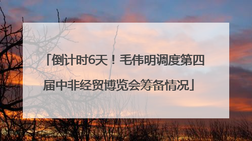 倒计时6天！毛伟明调度第四届中非经贸博览会筹备情况