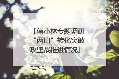 傅小林专题调研“两山”转化突破攻坚战推进情况