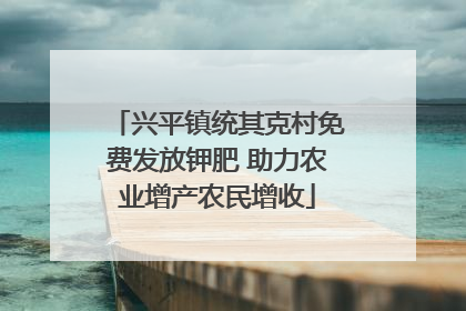兴平镇统其克村免费发放钾肥 助力农业增产农民增收