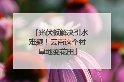 光伏板解决引水难题！云南这个村旱地变花田