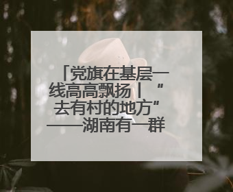 党旗在基层一线高高飘扬丨“去有村的地方”——湖南有一群青年党员这样选择