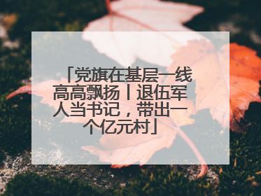 党旗在基层一线高高飘扬丨退伍军人当书记，带出一个亿元村