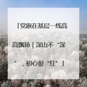 党旗在基层一线高高飘扬｜深山不“深”，初心很“红”
