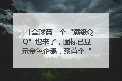 全球第二个“满级QQ”也来了，图标已显示金色企鹅，系首个“满级QQ”的小号