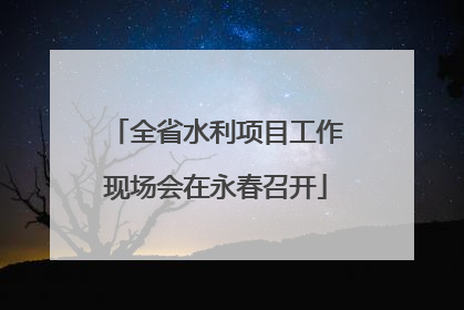 全省水利项目工作现场会在永春召开