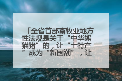 全省首部畜牧业地方性法规是关于“中华熊猫猪”的，让“土特产”成为“新国潮”，让“农产品”升格为“城市IP”