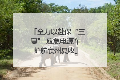全力以赴保“三夏” 应急电源车护航襄州夏收