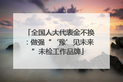全国人大代表金不换：做强“‘豫’见未来”未检工作品牌