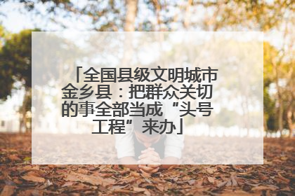 全国县级文明城市金乡县：把群众关切的事全部当成“头号工程”来办