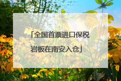 全国首票进口保税岩板在南安入仓