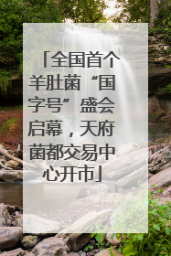 全国首个羊肚菌“国字号”盛会启幕，天府菌都交易中心开市