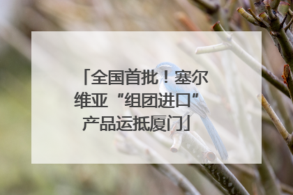 全国首批！塞尔维亚“组团进口”产品运抵厦门