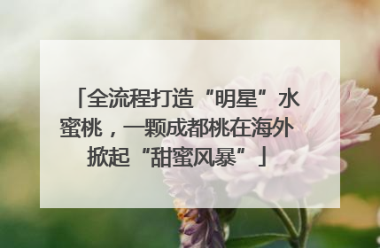 全流程打造“明星”水蜜桃，一颗成都桃在海外掀起“甜蜜风暴”