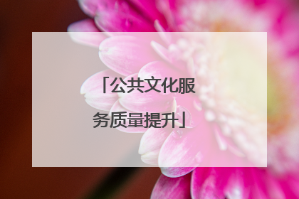 公共文化服务质量提升