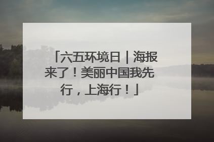 六五环境日｜海报来了！美丽中国我先行，上海行！