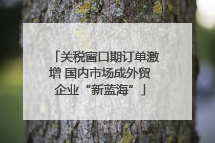 关税窗口期订单激增 国内市场成外贸企业“新蓝海”