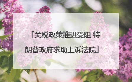 关税政策推进受阻 特朗普政府求助上诉法院