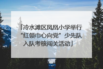 冷水滩区凤凰小学举行“红领巾心向党”少先队入队考核闯关活动