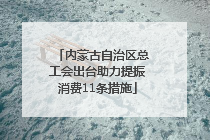 内蒙古自治区总工会出台助力提振消费11条措施