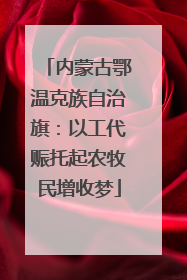 内蒙古鄂温克族自治旗：以工代赈托起农牧民增收梦