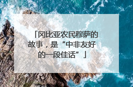 冈比亚农民穆萨的故事，是“中非友好的一段佳话”
