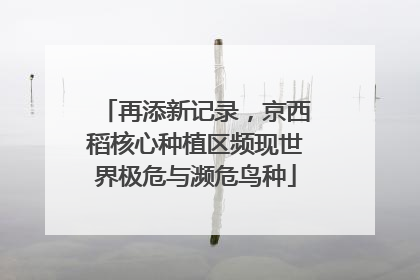 再添新记录，京西稻核心种植区频现世界极危与濒危鸟种